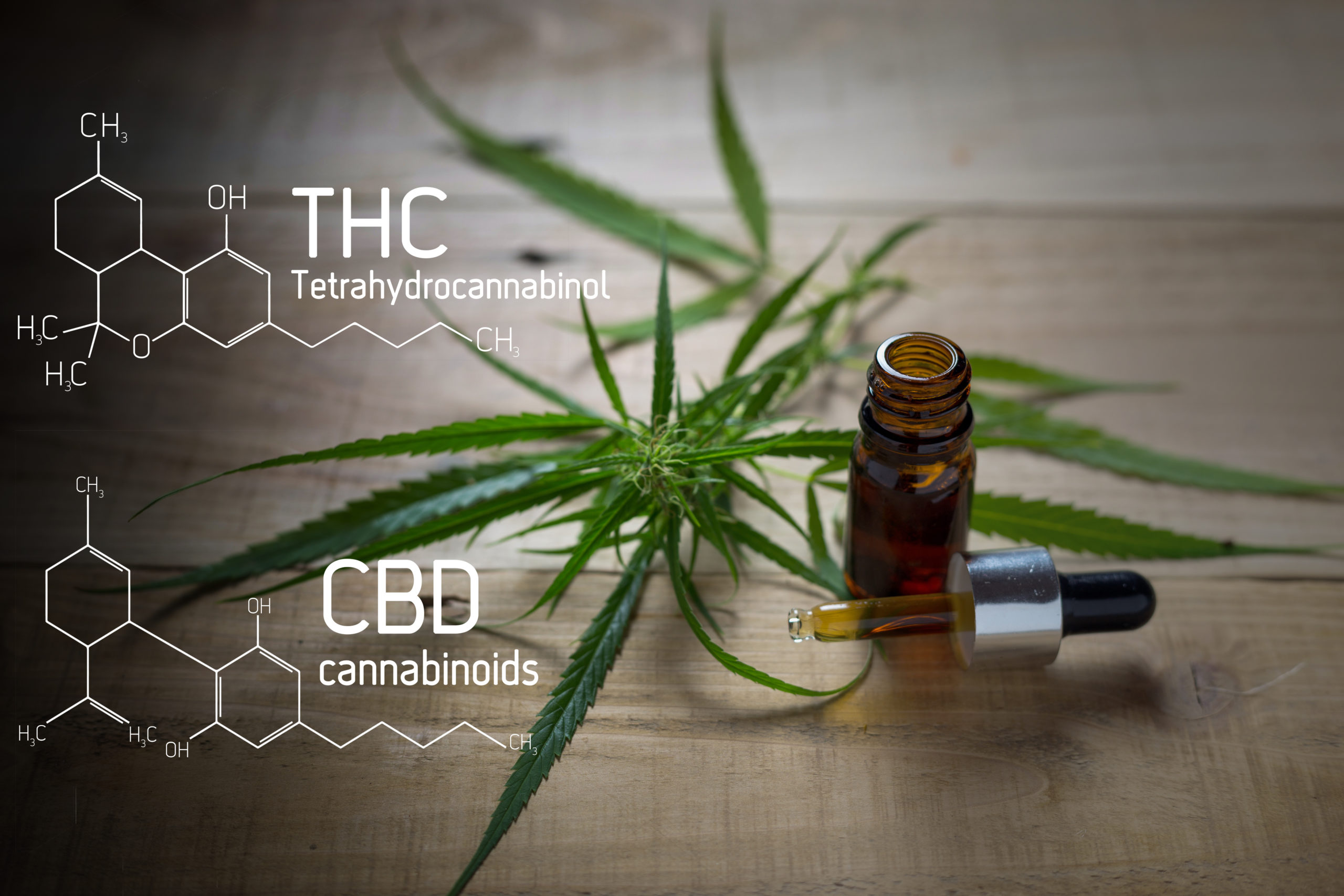 Breaking Down the Medical Benefits of THC